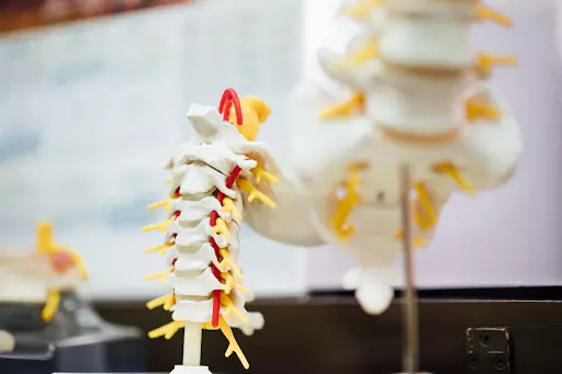 Understanding the Different Types of Spine Problems